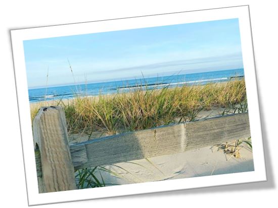 Commercial Real Estate | Long Beach Island New Jersey | LBI Real Estate Market